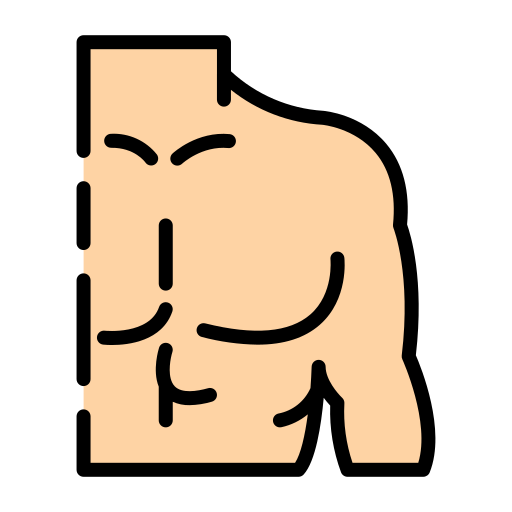 a muscular torso